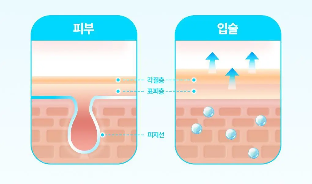 [NEW] 브링그린 대나무 히알루 립 에센스 스틱 3.5g 상세페이지 7